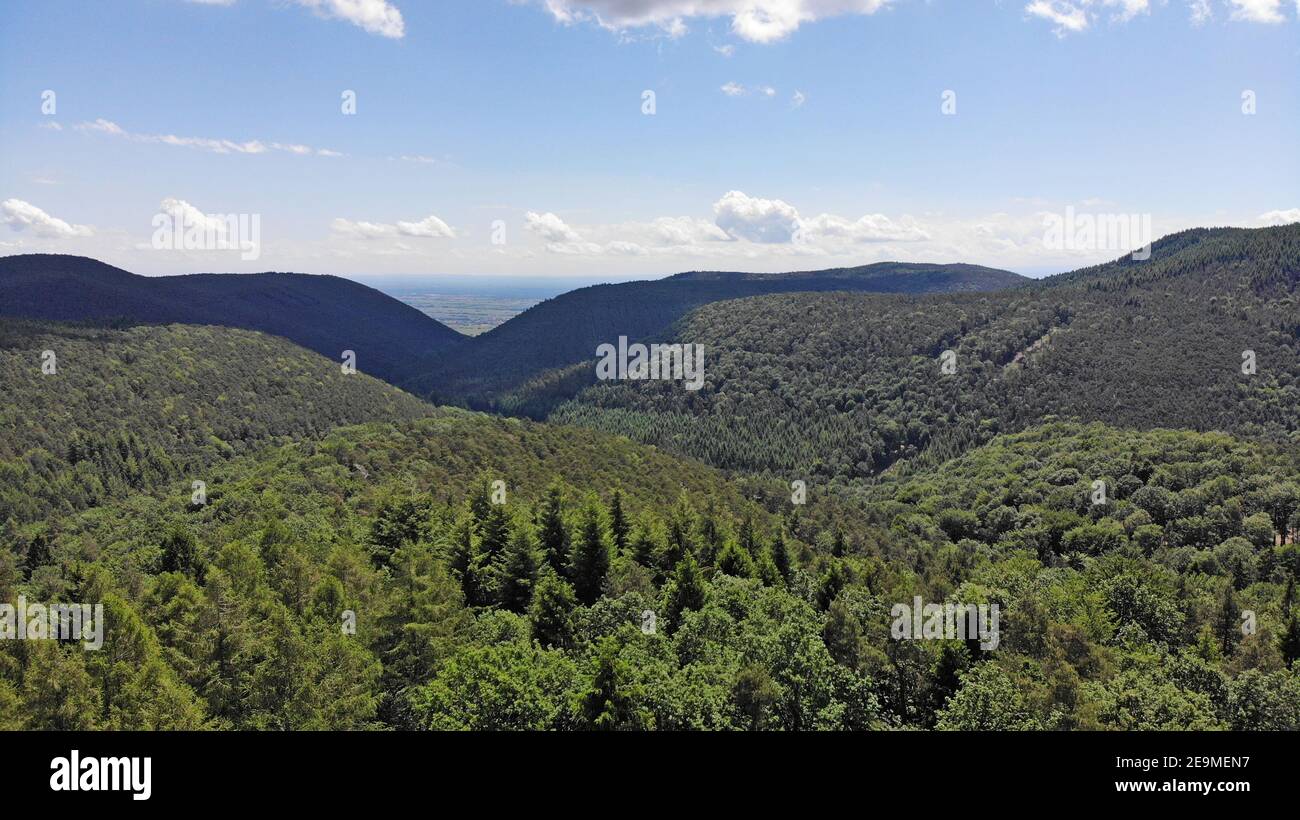 Panorama des Pfälzerwaldes, größte zusammenhängende Waldfläche in Deutschland Stockfoto