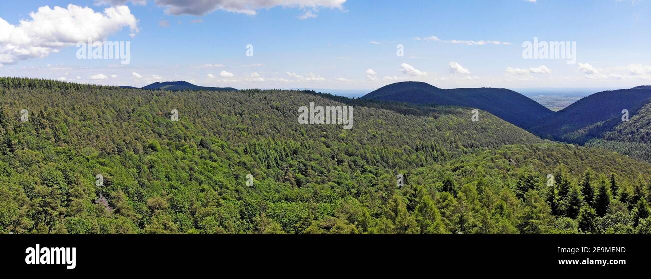 Panorama des Pfälzerwaldes, größte zusammenhängende Waldfläche in Deutschland Stockfoto