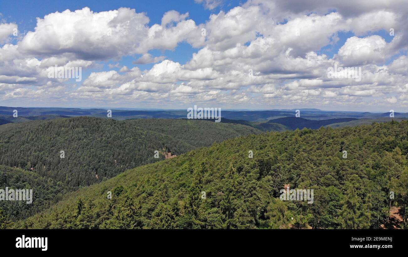 Panorama des Pfälzerwaldes, größte zusammenhängende Waldfläche in Deutschland Stockfoto