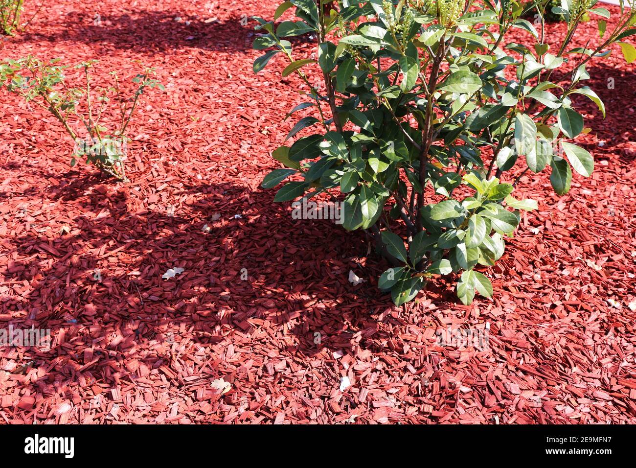 Rindenmulch farbig Stockfotos und bilder Kaufen Alamy