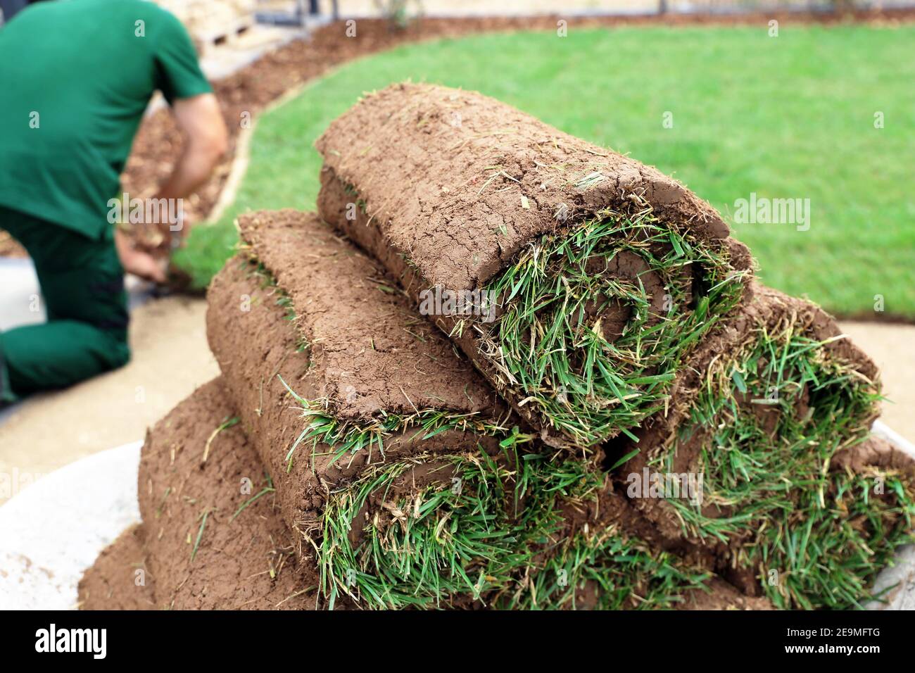 Gärtner, der Rollrasen in einem Hinterhof legt Stockfoto