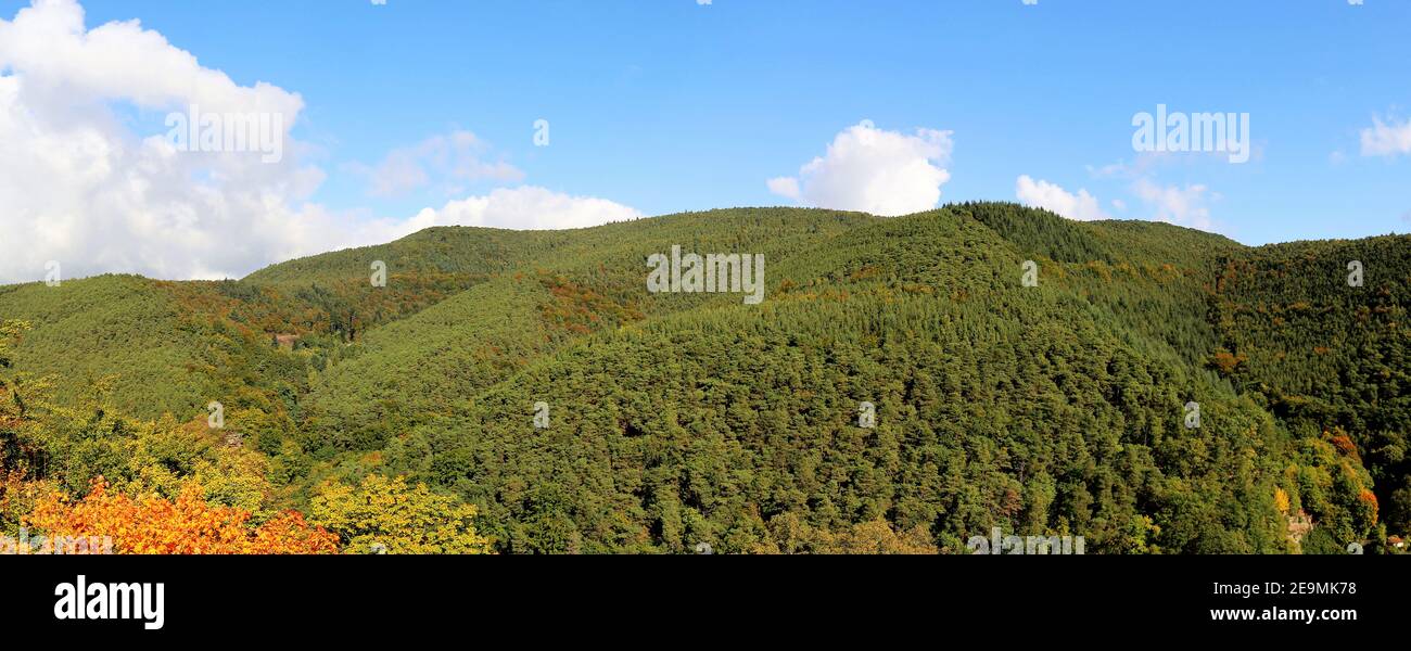 Panoramabild des Pfälzerwaldes (Deutschland) im Herbst Stockfoto