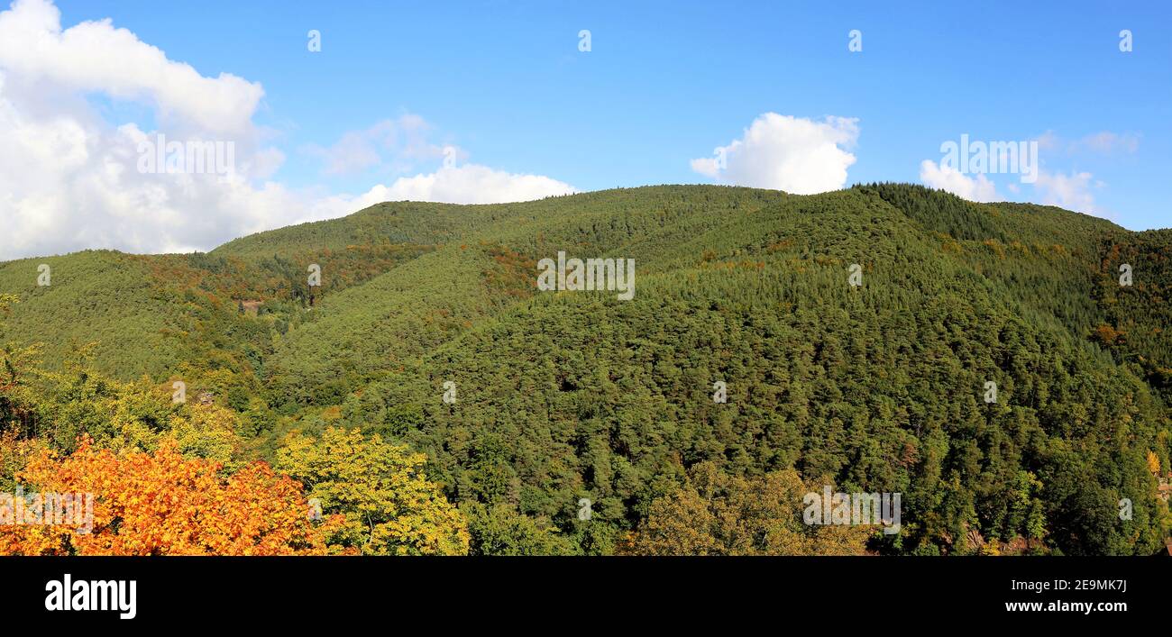 Panoramabild des Pfälzerwaldes (Deutschland) im Herbst Stockfoto