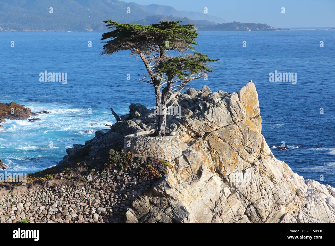 MONTEREY, Kalifornien - 7. APRIL 2014: Lone Cypress Tree View an der berühmten 17 km Fahrt in Monterey. Quellen behaupten, es ist eines der am meisten fotografierten Stockfoto