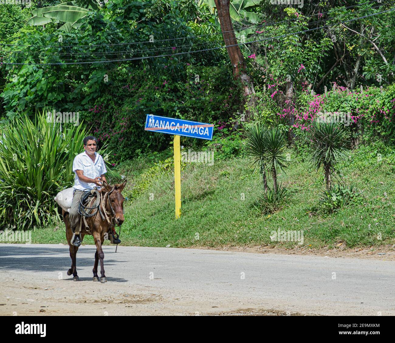 Ein Mann auf einem Pferd im Valle de los Ingenios / Tal der Zuckermühlen bei Trinidad, Sancti Spíritus, Kuba Stockfoto