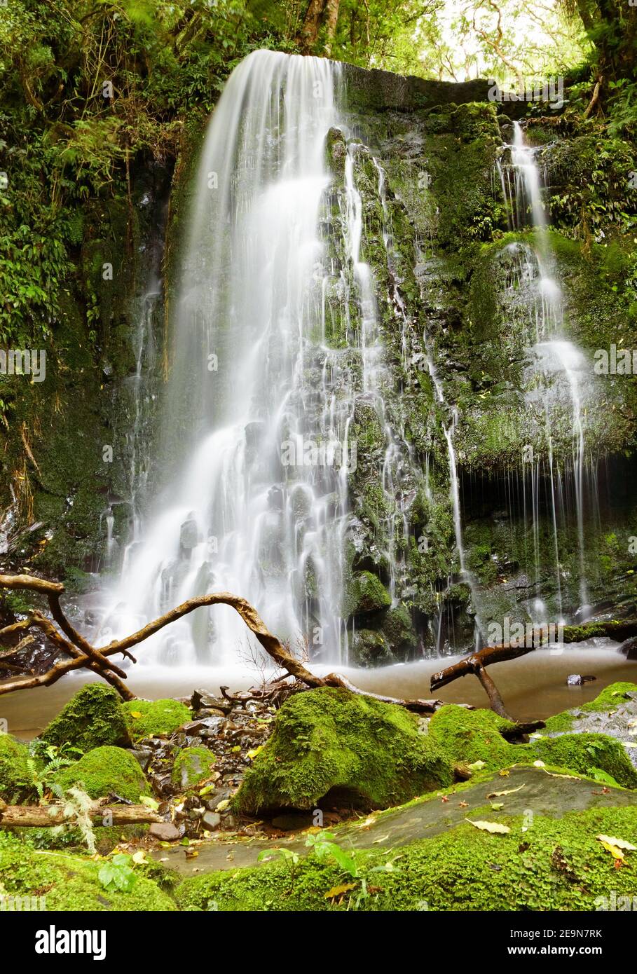 Wasserfall im Urwald, Neuseeland Stockfoto