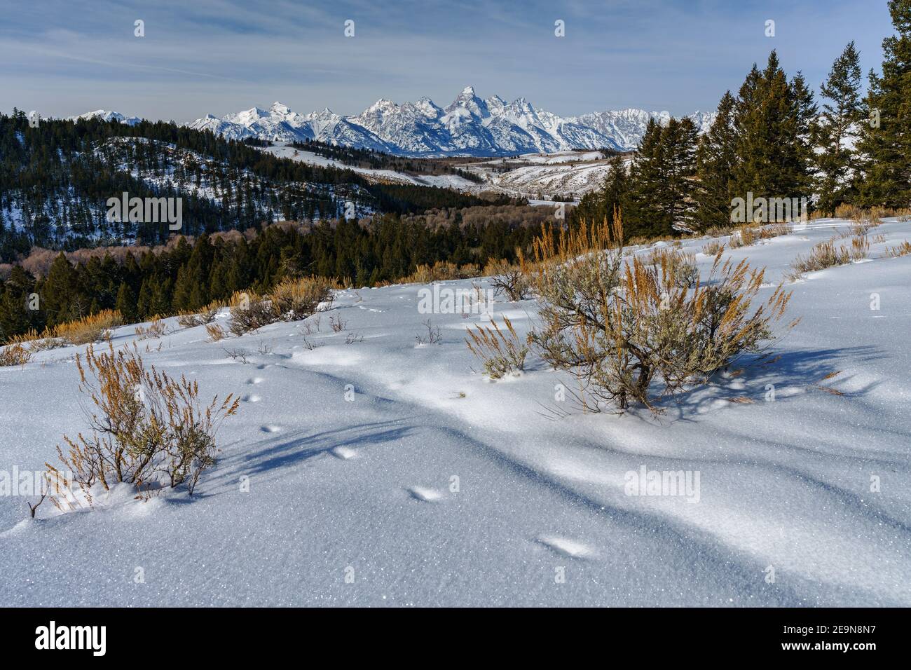 Blick auf schneebedeckte Grand Tetons im Winter mit Salbei Stockfoto