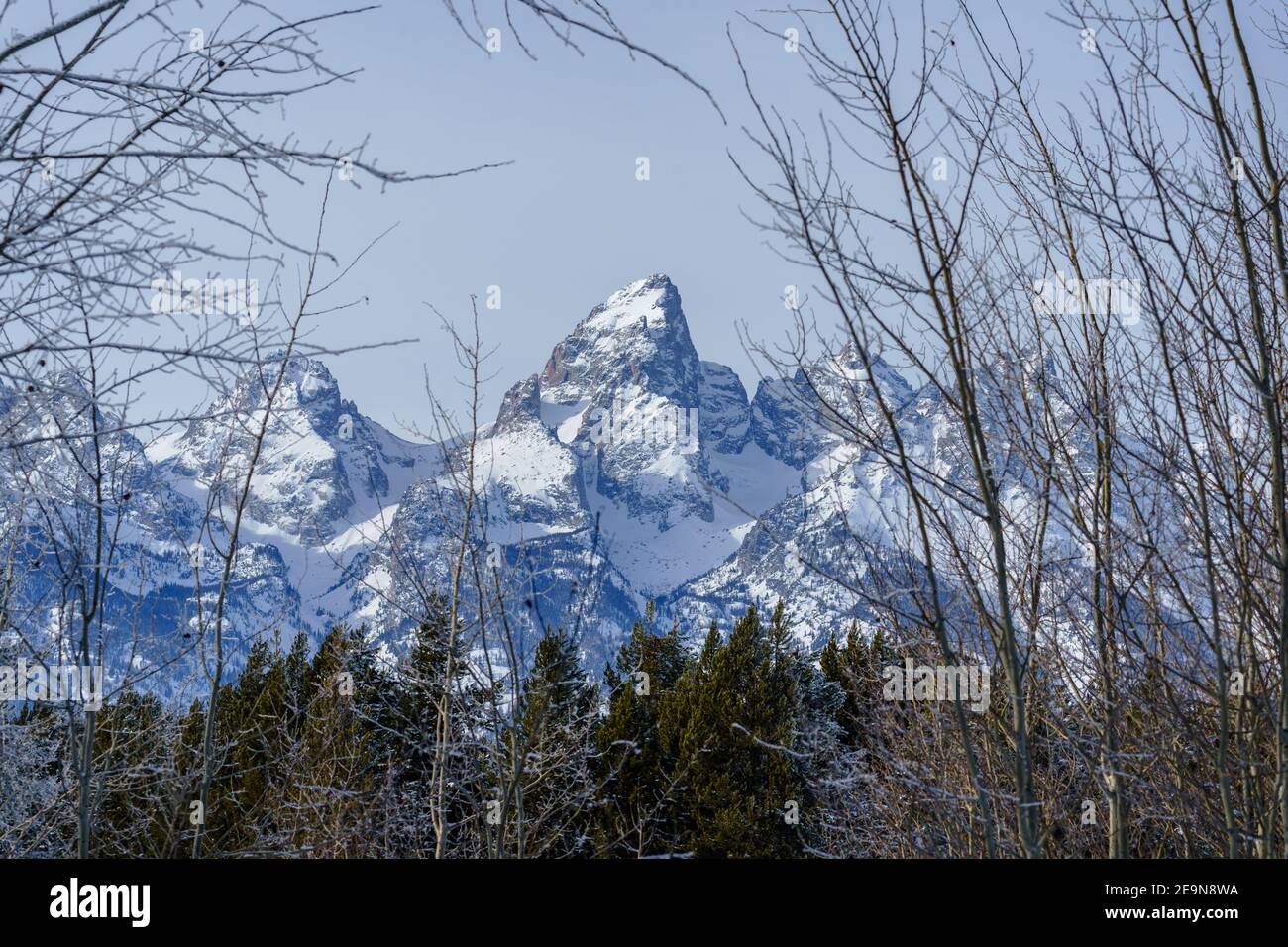 Das Grand Teton in Jackson Hole umgeben von Bäumen während Winter Stockfoto