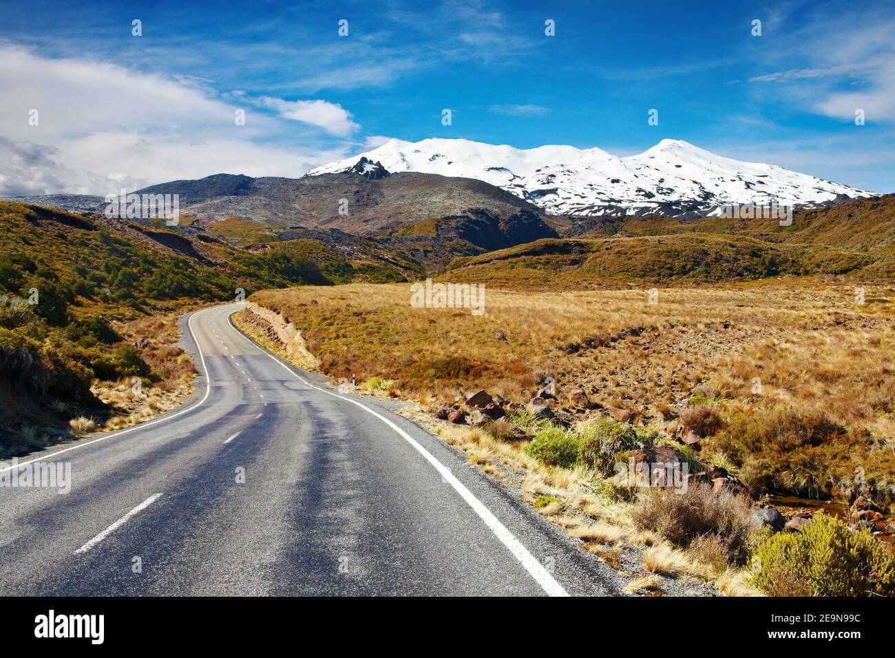 Straße zum Mount Ruapehu, Neuseeland Stockfoto