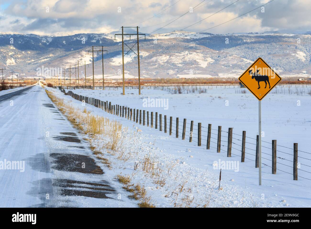 Moose Crossing Road Zeichen in ländlicher Umgebung Stockfoto