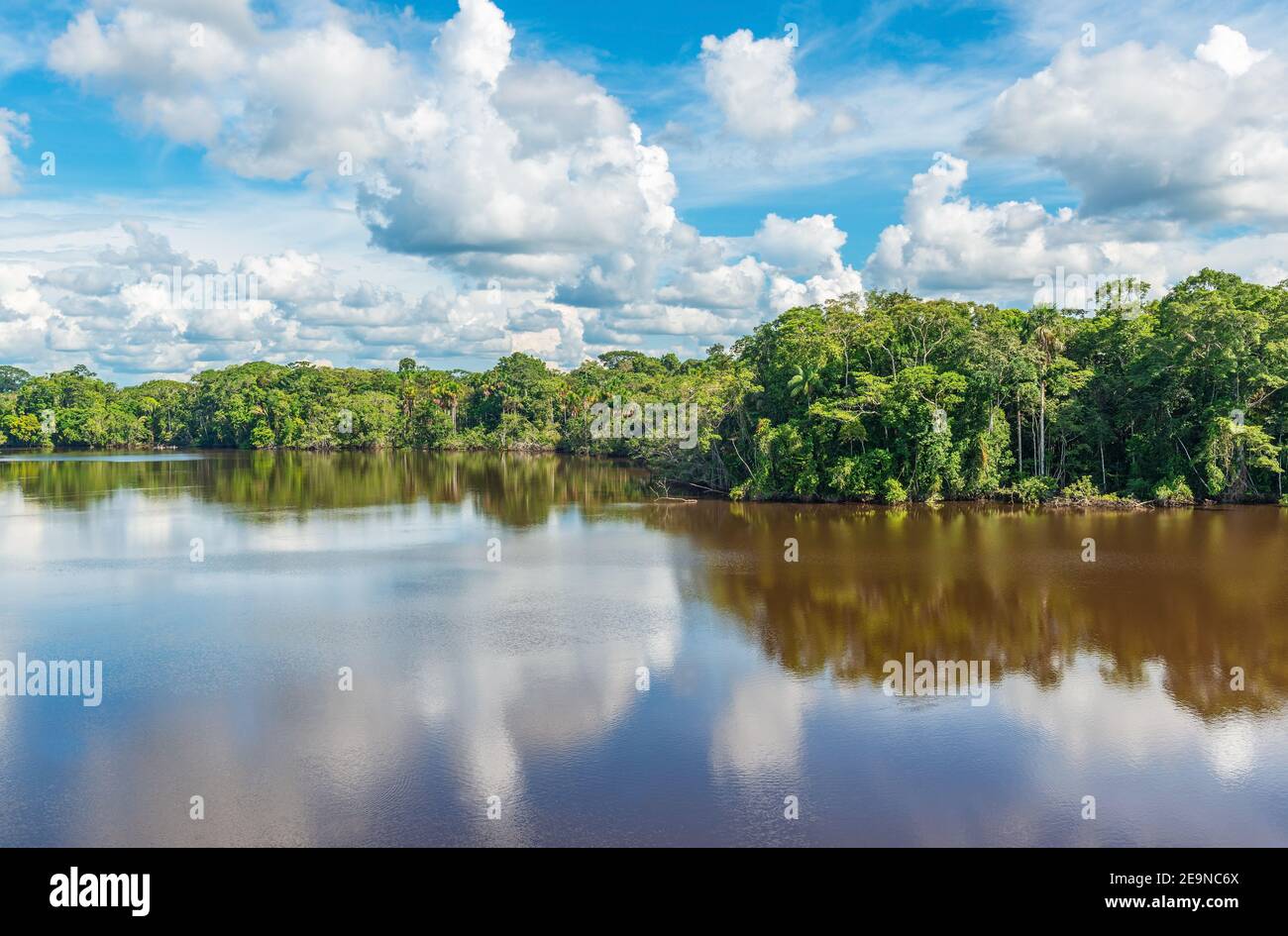 Amazonas Regenwald See Reflexion, das Amazonas-Flussbecken umfassen Bolivien, Brasilien, Kolumbien, Ecuador, Peru, (Französisch) Guyana, Suriname, Venezuela. Stockfoto