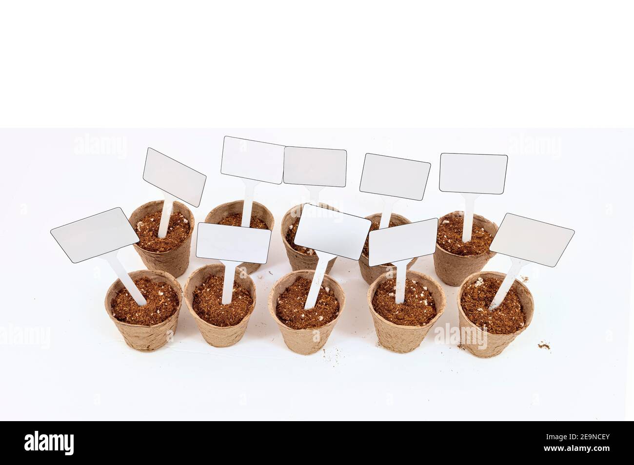 Horizontale Aufnahme von zehn Torftöpfen, gefüllt mit Erde und leeren Schildern auf weißem Hintergrund. Stockfoto