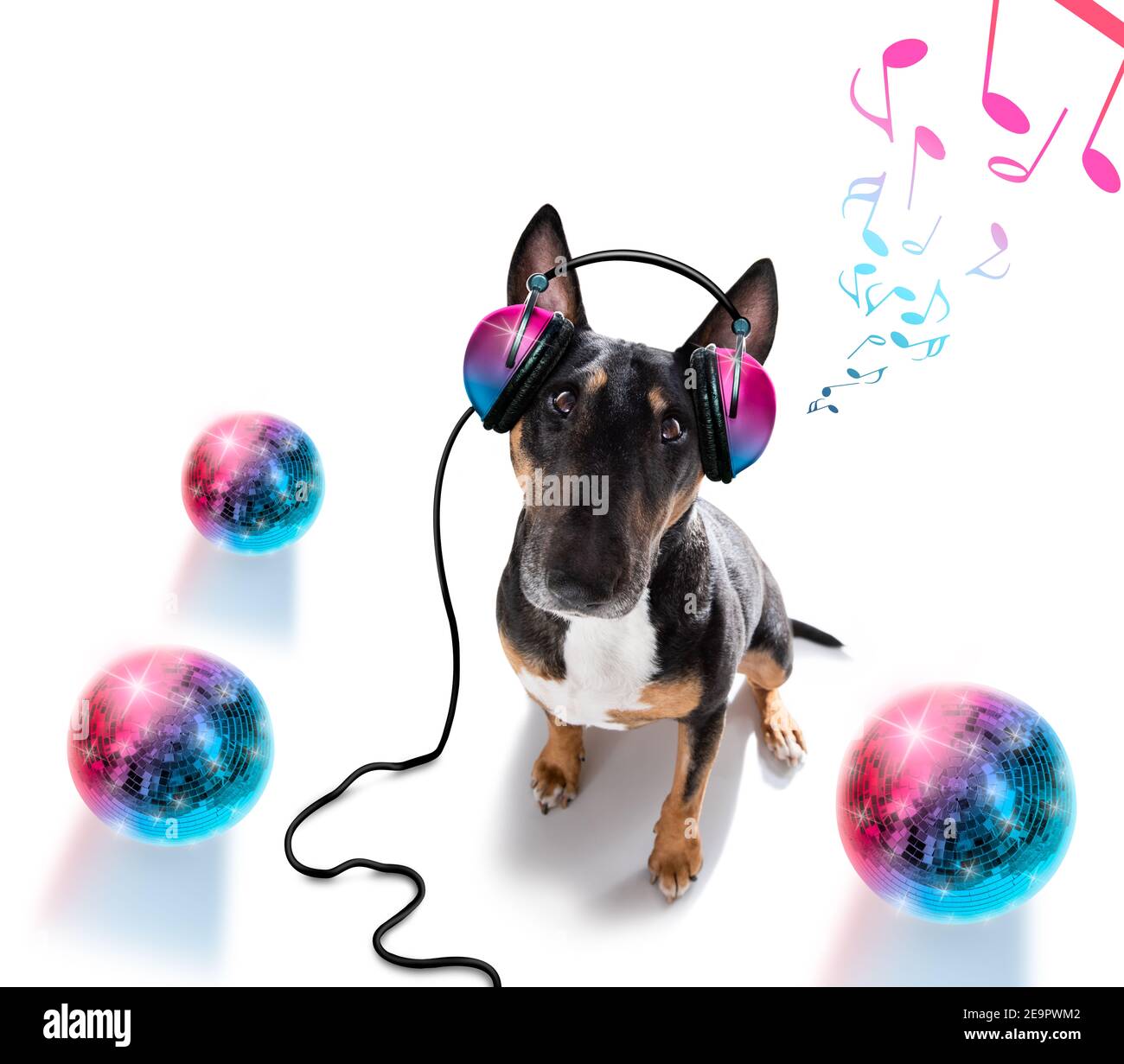 DJ Bull Terrier Hund spielt Musik in einem Club mit Disco-Ball , isoliert auf weißem Hintergrund Stockfoto