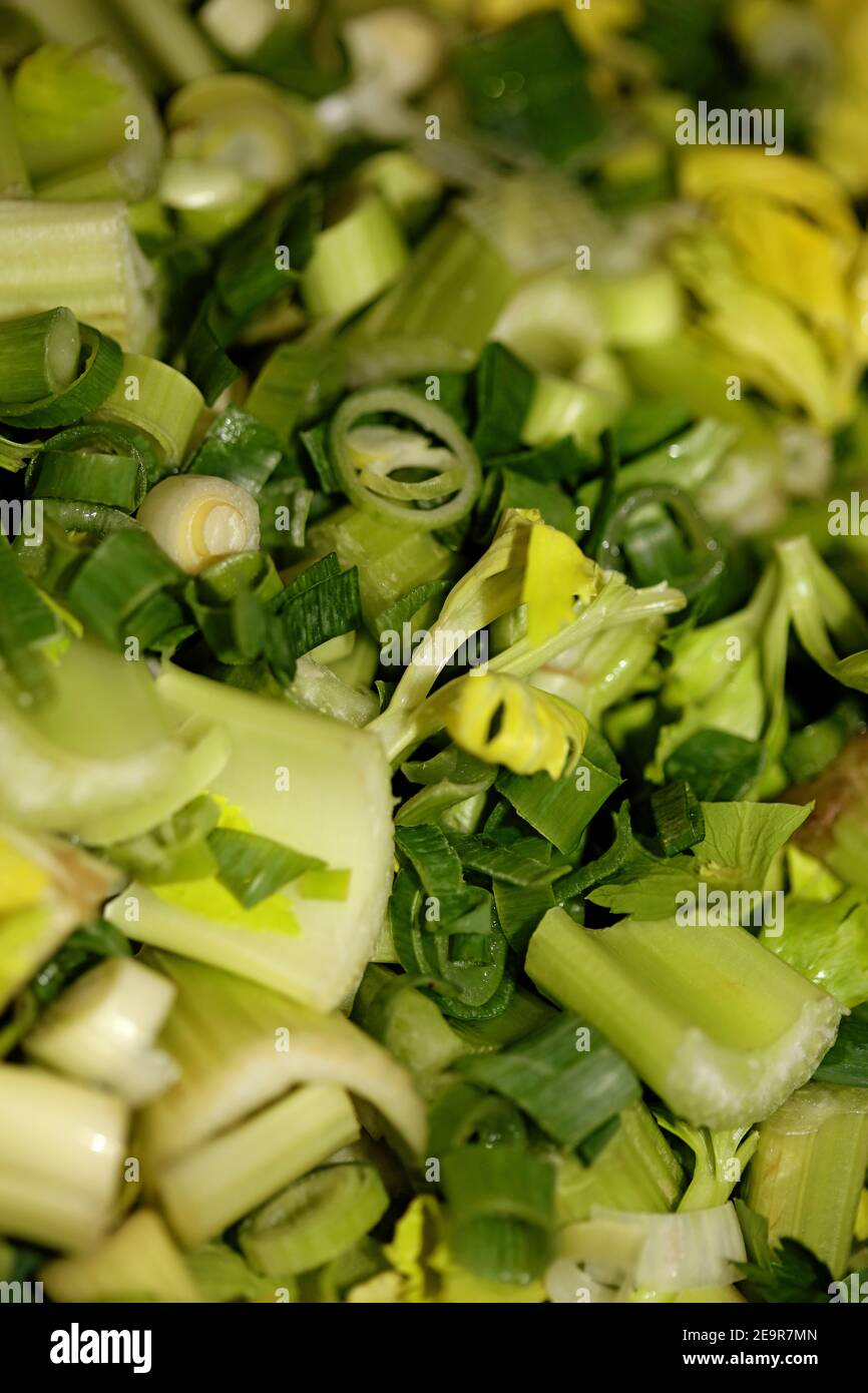 Gemischtes Salatgemüse mit Dill Lauch und grünen frischen Zwiebeln Makrohintergrund moderner hochwertiger Druck Stockfoto