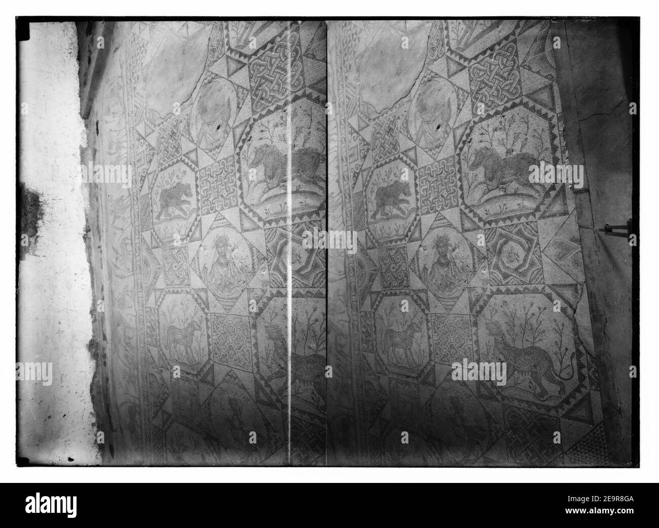 Mosaik von Maiden mit Obst, Beit Jibrin Stockfoto