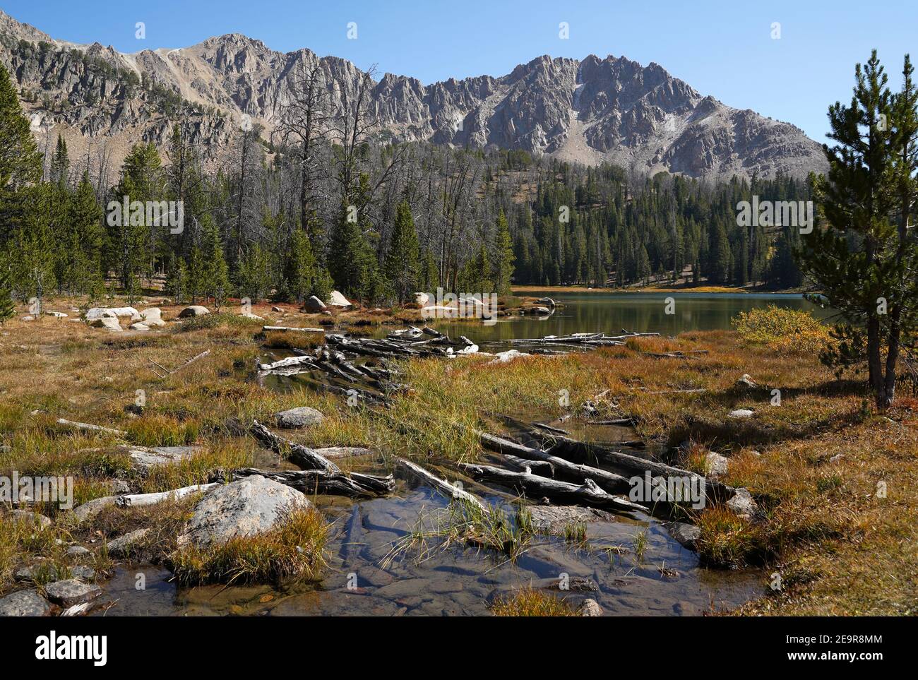 Ein flacher See in den Bergen von Zentral-Idaho im Frühherbst. Stockfoto