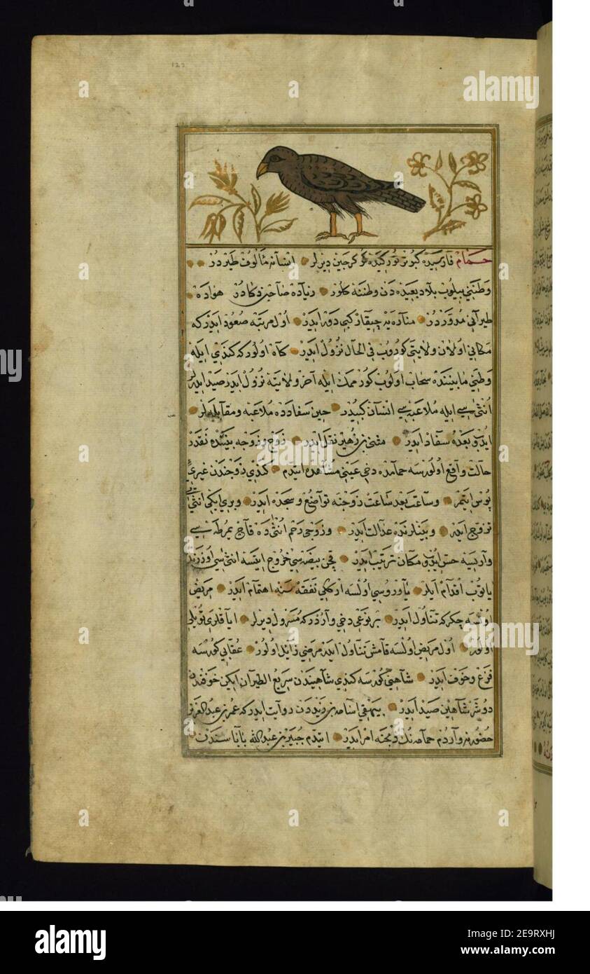 Muhammad ibn Muhammad Shakir Ruzmah-'i Nathani - EIN Drachen Stockfoto