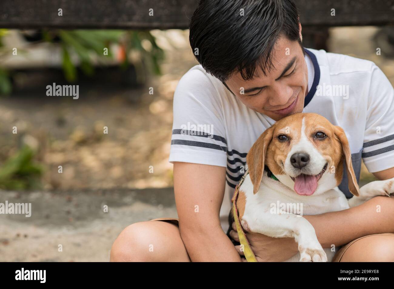Asian Mann schön niedlich spielen mit seinem Welpen Tier Haustier, sind Beagle freundlichen Hund mit Menschen. Stockfoto