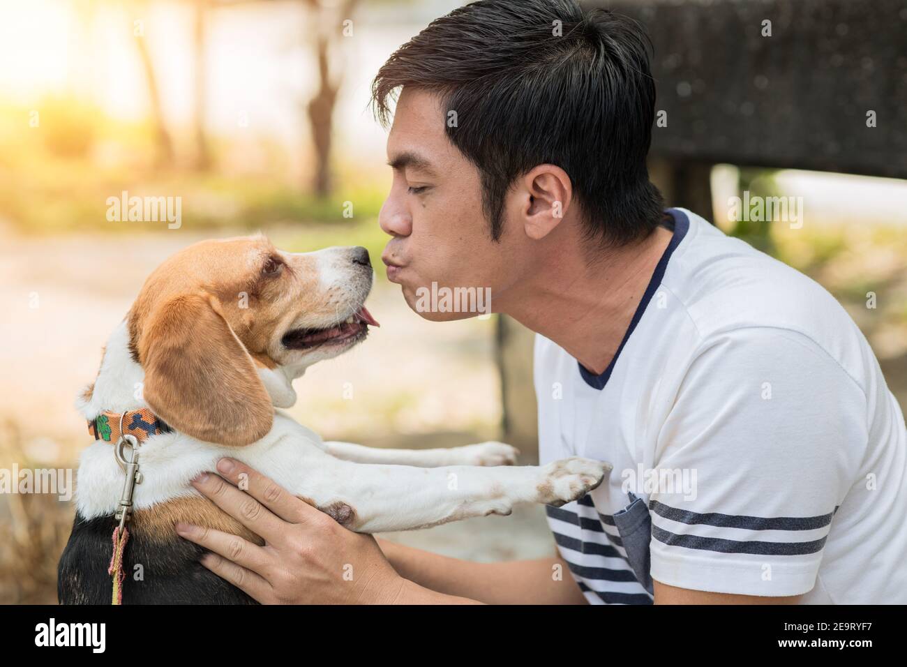 Asian Mann schön niedlich spielen Kuss mit seinem Welpen Tier Haustier, sind Beagle freundlichen Hund mit Menschen. Stockfoto