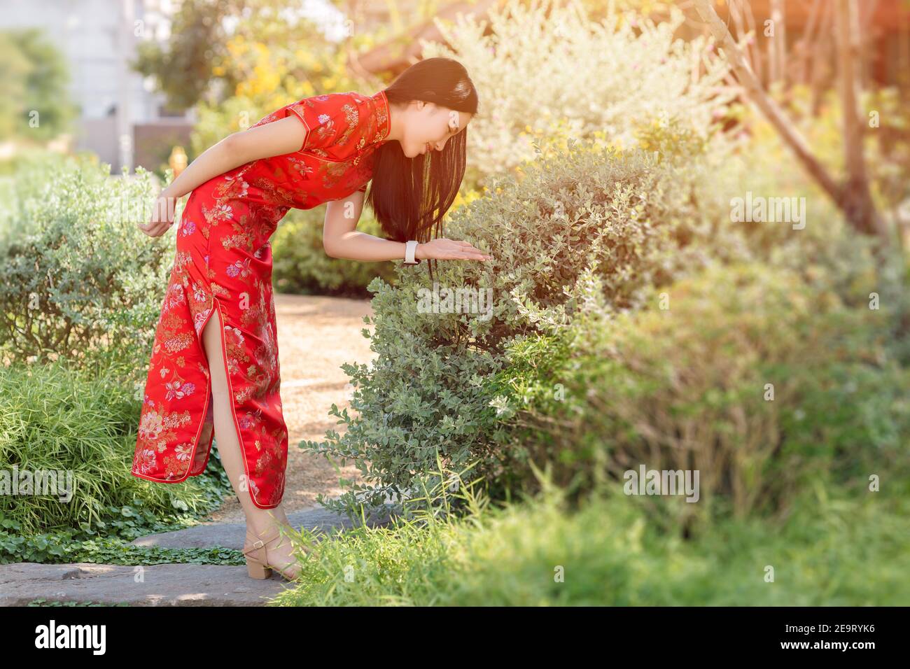 Schöne chinesische Mädchen im grünen Park Hinterhof Dressing Qipao traditionellen Tuch in chinesischen Neujahr. Stockfoto