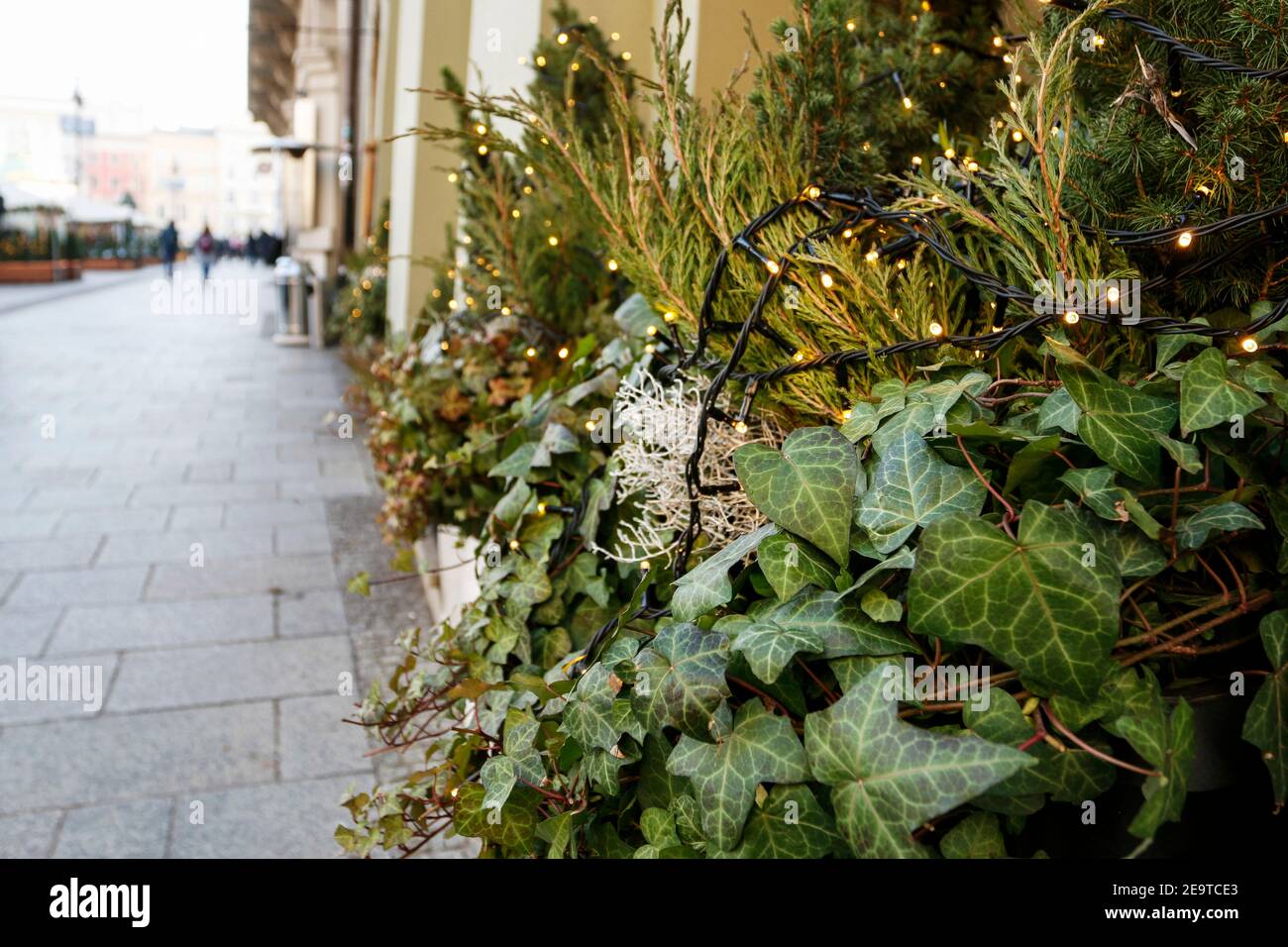 Städtische floristische Dekoration im öffentlichen Raum aus Efeu und anderen Pflanzen. Straßendekor Stockfoto