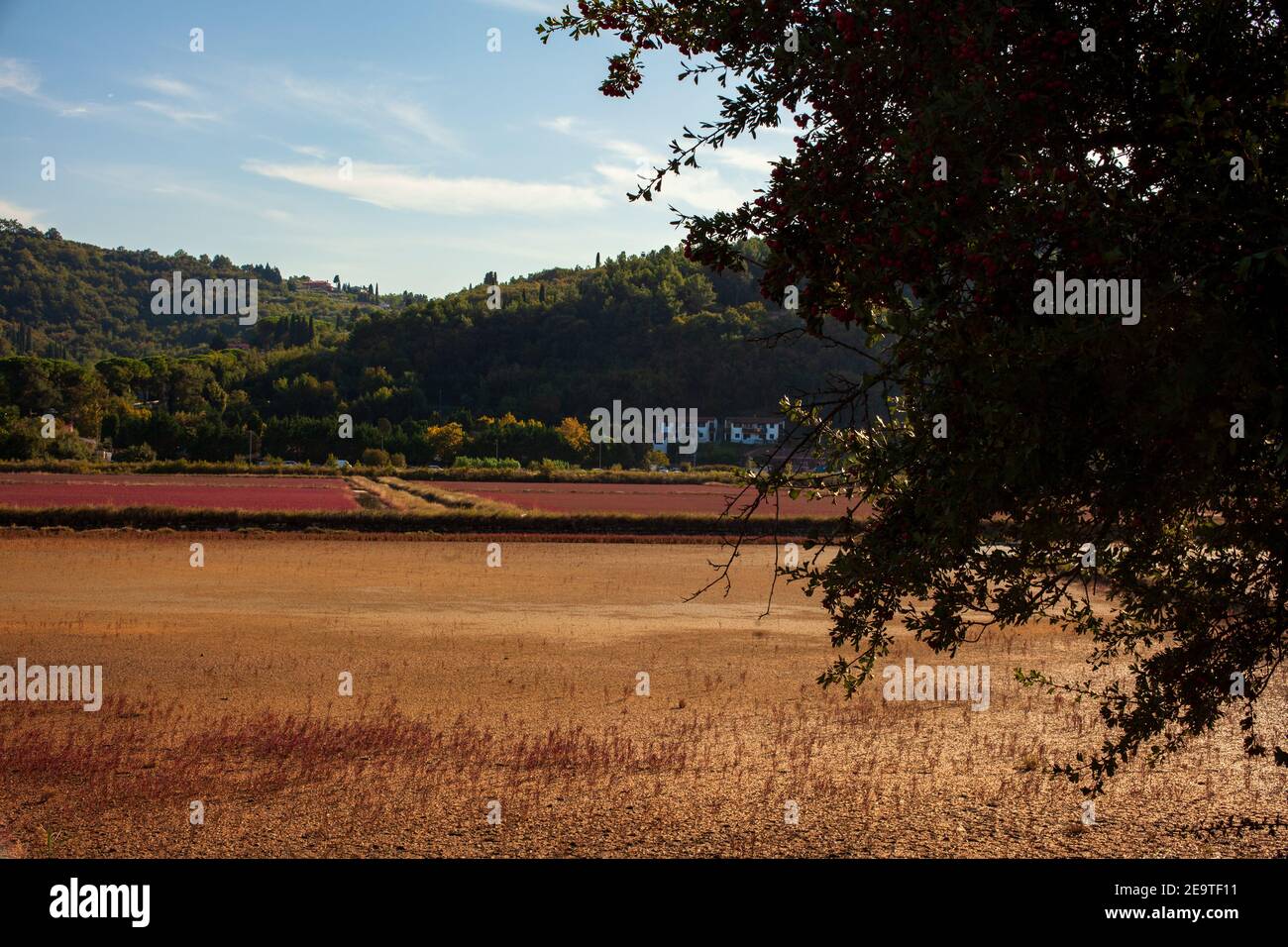 Blick auf den Naturpark Strunjan in Slowenien Stockfoto