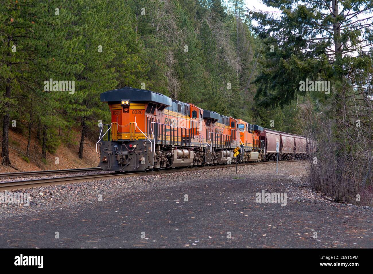 Drei Schlepplokomotiven eines BNSF-Güterzuges mit abgedecktem Hopper kommen in der Stadt Troy, Montana, die Gleise hinunter. Burlington Northern und Stockfoto