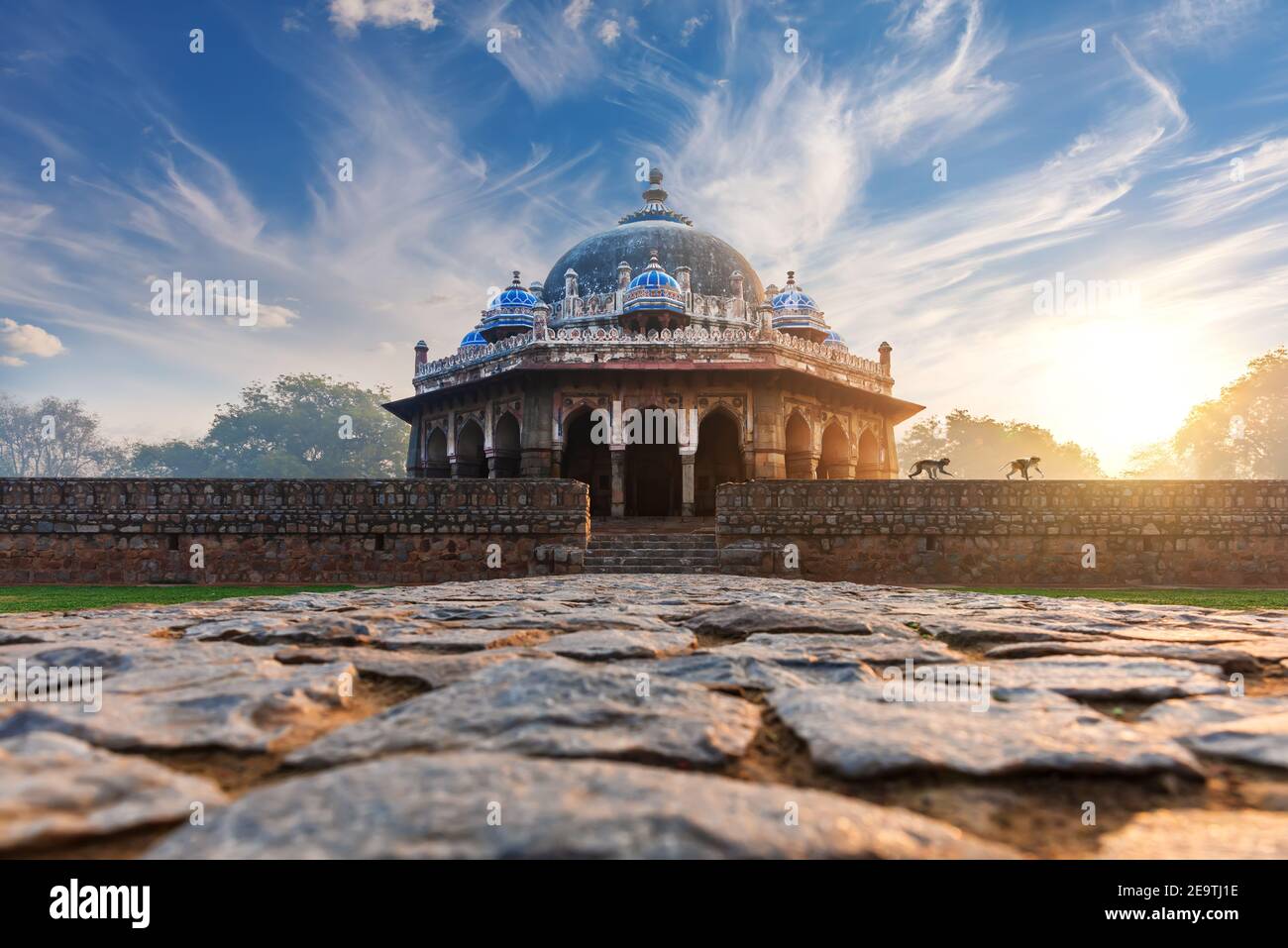 Zwei Affen gehen in der Nähe des Humayun-Grabes in Indien, Neu-Delhi Stockfoto