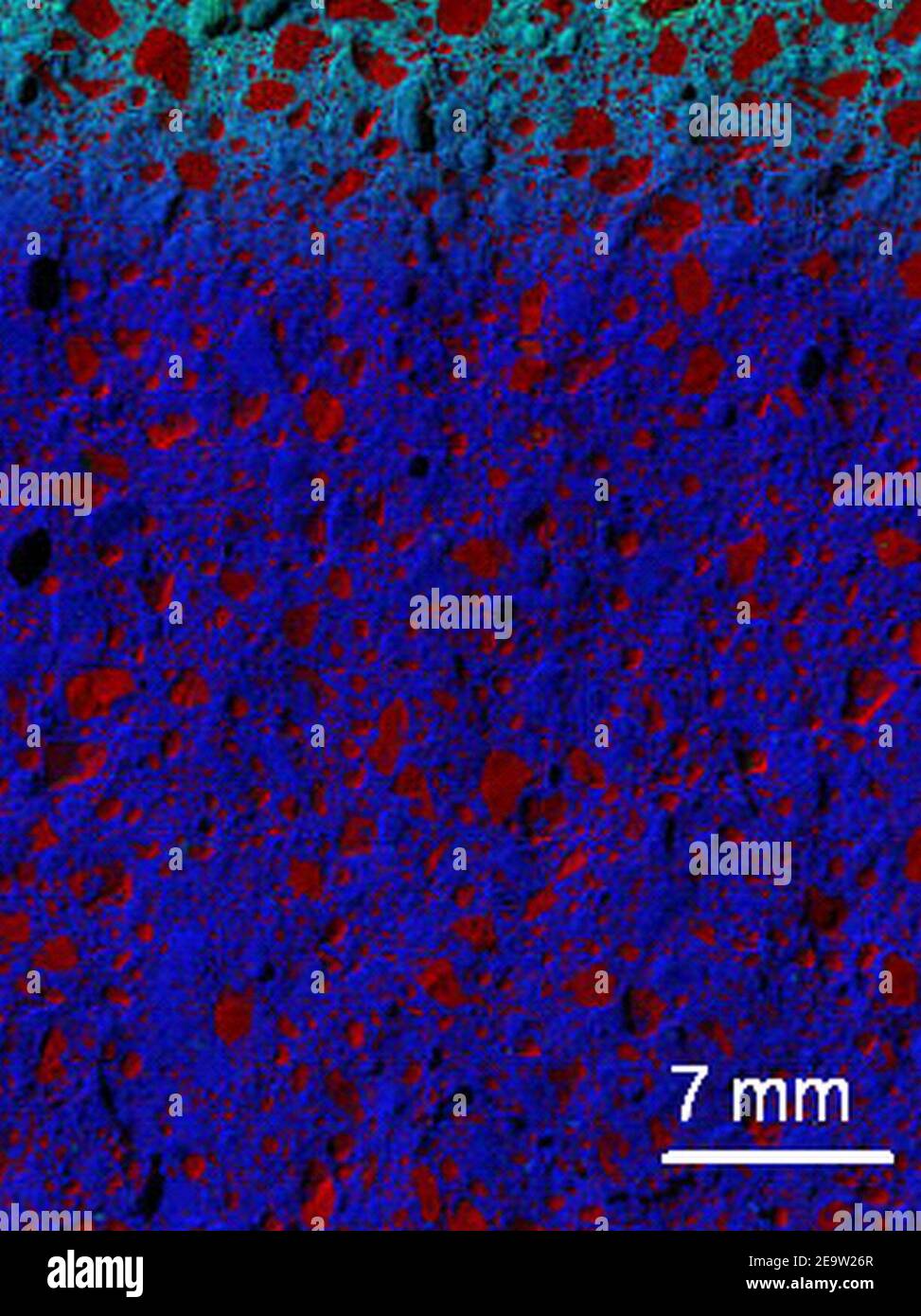 Nanomaterialien; Beton (5887831476). Stockfoto