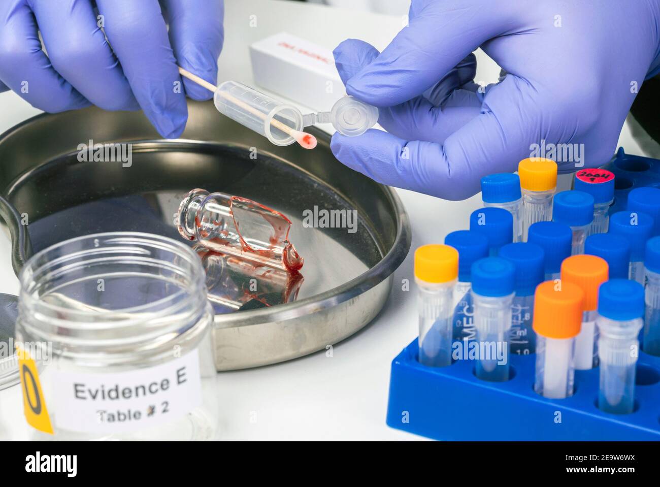 Hämatologische Analyse mit forensischem Testkit in einem Mord in einem Kriminallabor, konzeptionelles Bild Stockfoto