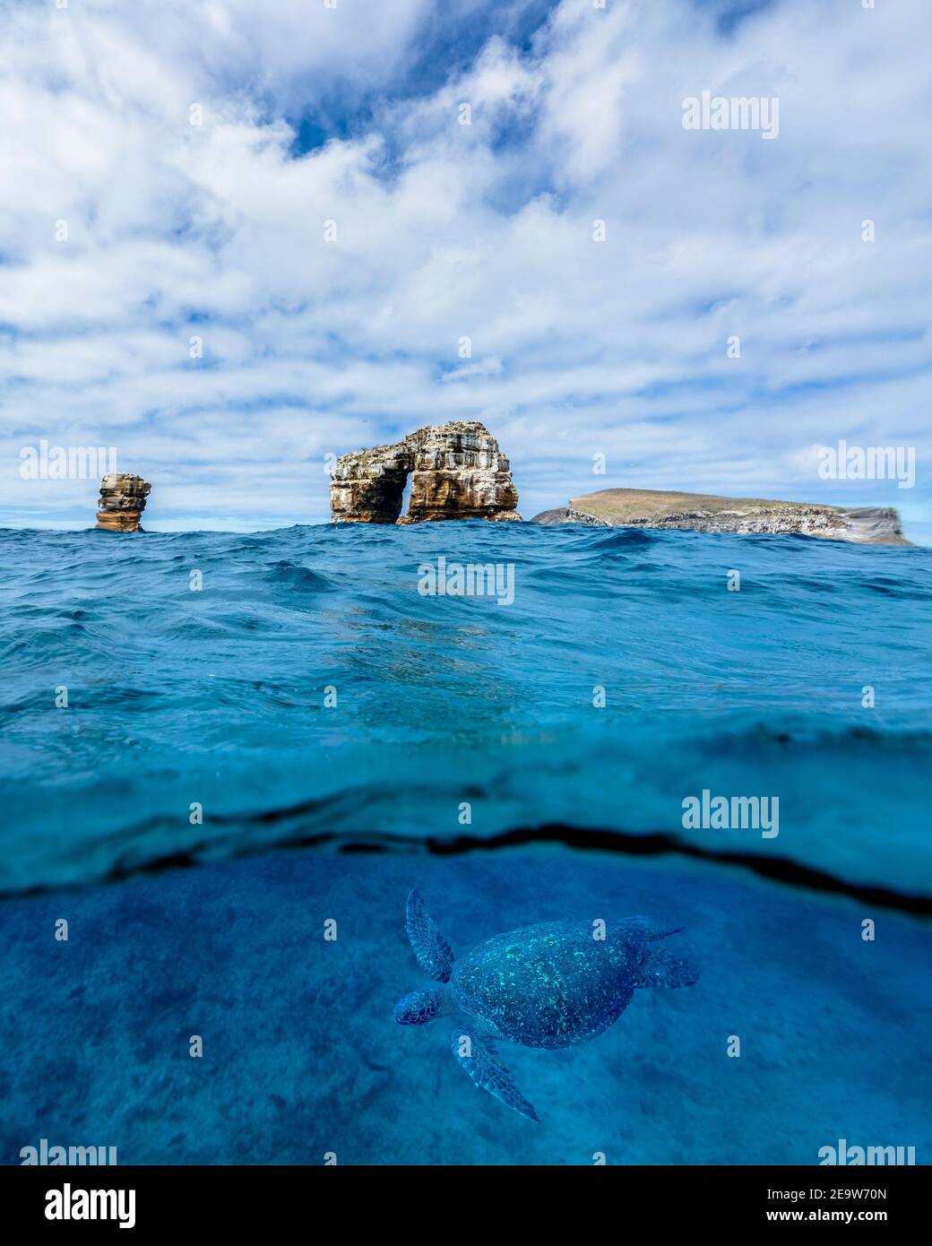 Darwin's Arch und Green Sea Turtle Over under Capture in Galapagos, Weltkulturerbe des ecuadorianischen Pazifiks Stockfoto