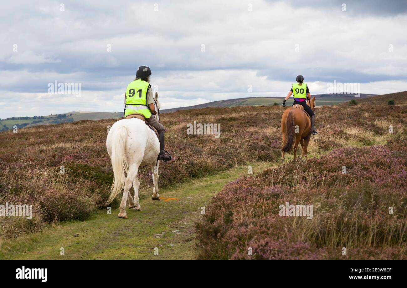 SHROPSHIRE, Großbritannien - 08. September 2013. Zwei Personen Pony Trekking auf Long Mynd, Shropshire Hills, Großbritannien Stockfoto