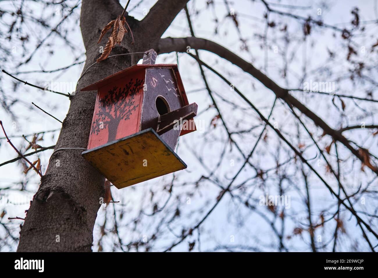 Ein Vogelfutterhäuschen aus Holz hängt an einem Baum. Familienwerte. Konzept. Umweltschutz Stockfoto