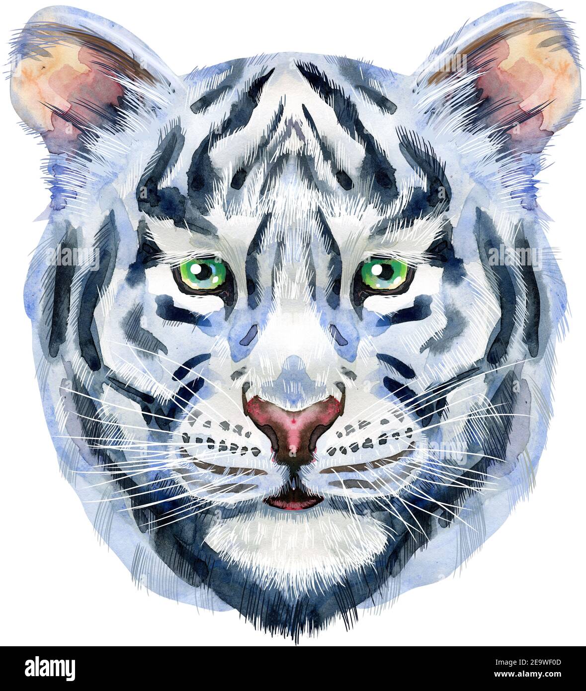 Aquarell-Illustration des weißen lächelnden Tigers Stockfoto