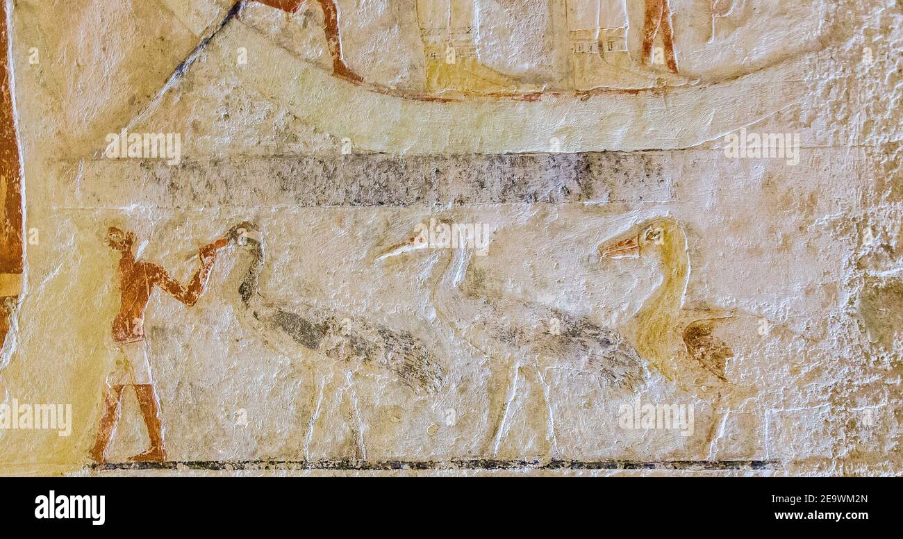 Ägypten, Guizeh, Grab der Königin Meresankh III, Enkelin von Kheops und Ehefrau von Khephren. Hauptraum, Ostwand, Geflügel. Stockfoto