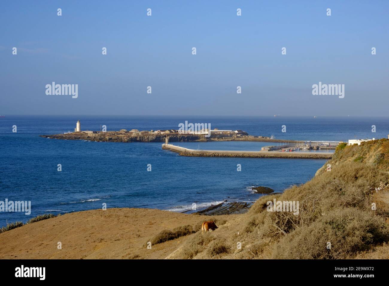 Blick auf den Hafen von Tarifa von den Klippen nördlich der Stadt. Tarifa, Provinz Cadiz, Andalusien, Spanien Stockfoto