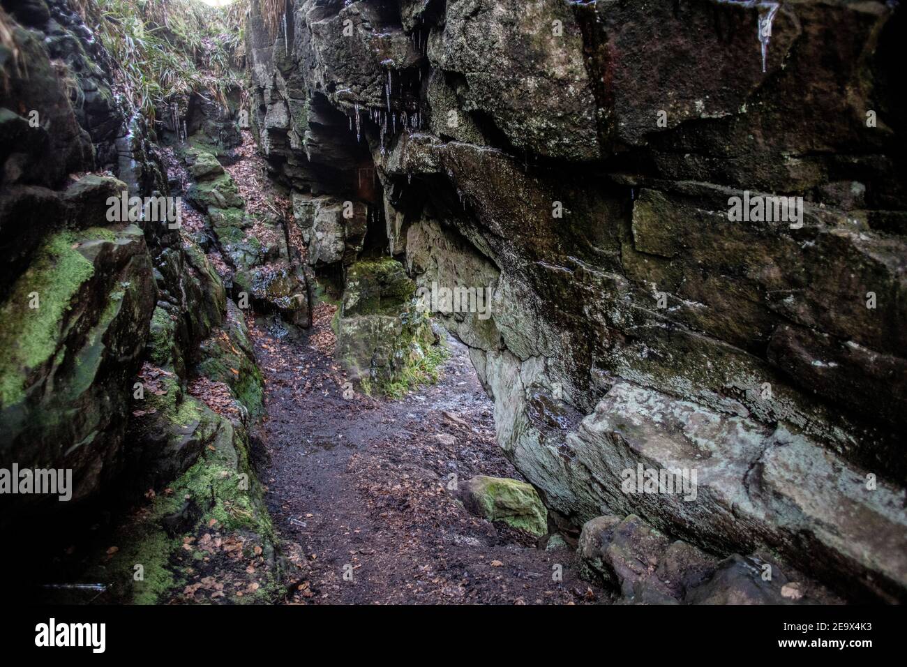 Teil des River Avon Heritage Trail, zentriert auf dem Bogen, der lokal als Wallace's Cave bekannt ist. Stockfoto