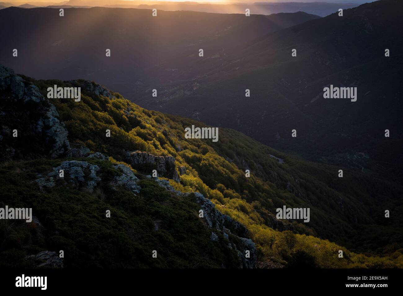 Bewaldete Hügel mit Lichtwellen, die durch Wolken kommen. Naturpark Montseny. Katalonien. Spanien. Stockfoto