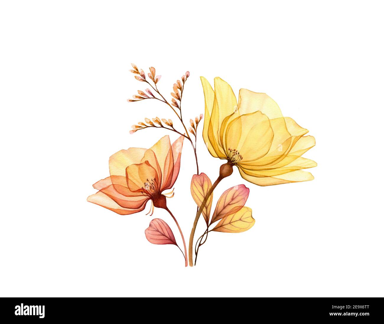 Aquarell Rosenstrauß. Transparente gelbe Blüten mit Zweig und Blätter isoliert auf weiß. Handbemaltes Vintage Arrangement. Botanische Abbildung Stockfoto