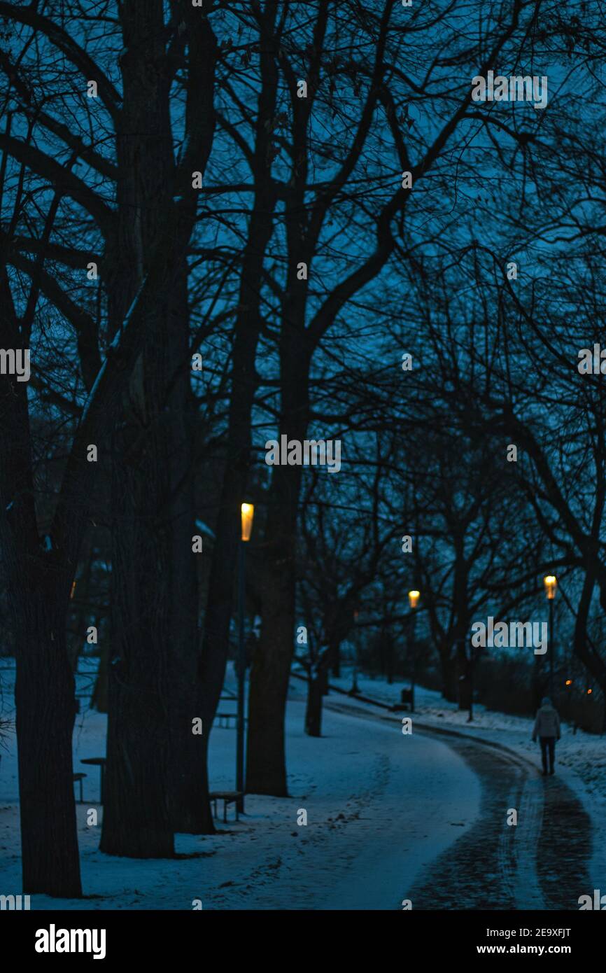 Park Nacht Spaziergang im Winter mit Straßenlampen kalte Nacht Stockfoto