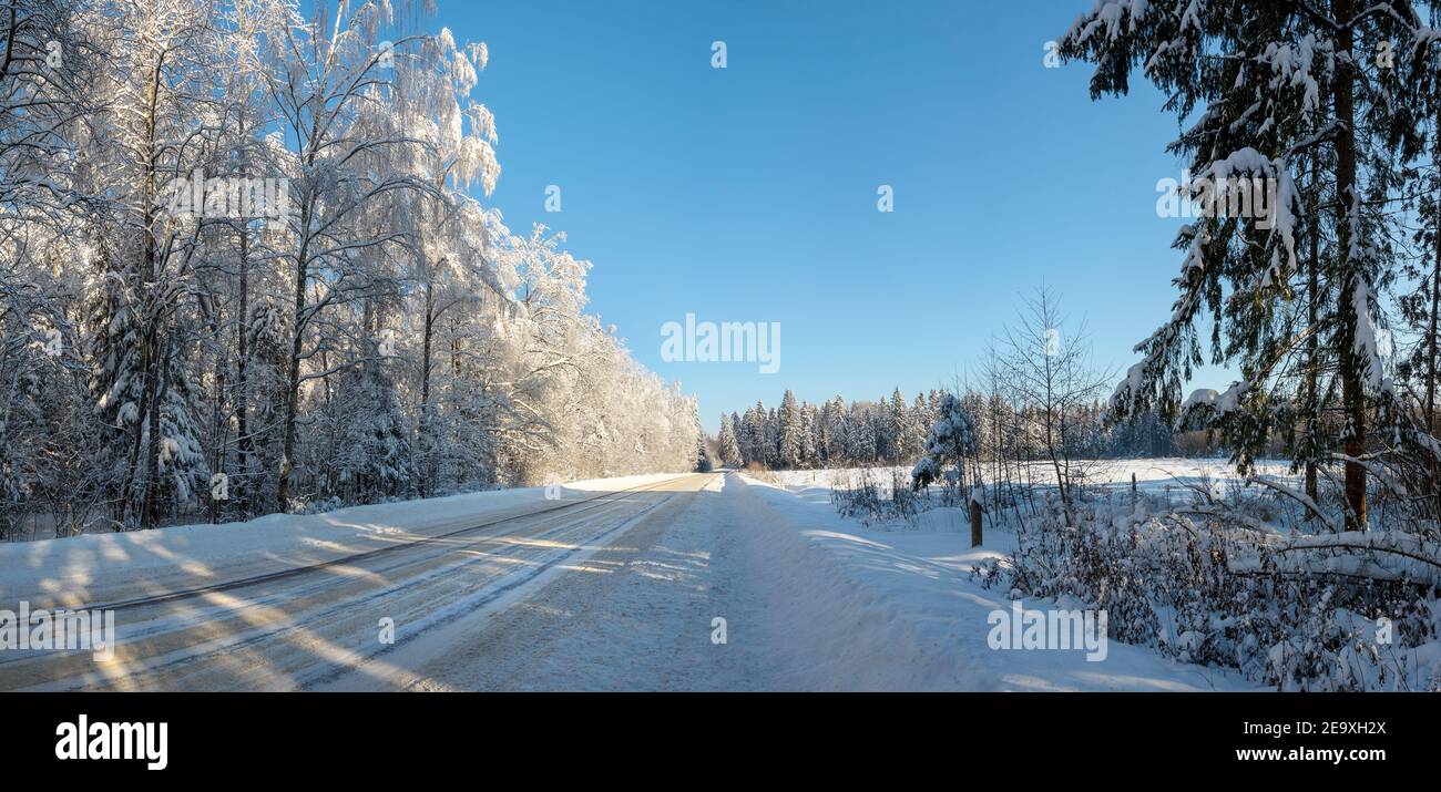 Sonnige Winterlandschaft mit Landstraße durch Wald während Frostiger januarmorgen Stockfoto