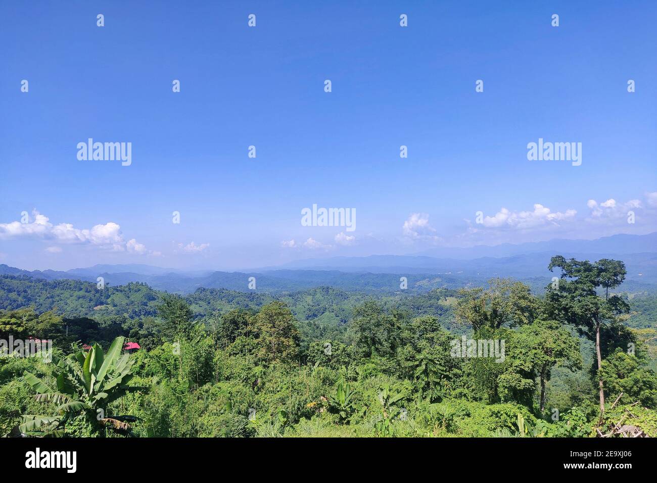 Blick von oben auf die Berglandschaft. Ein Blick auf die blauen Berge. Stockfoto