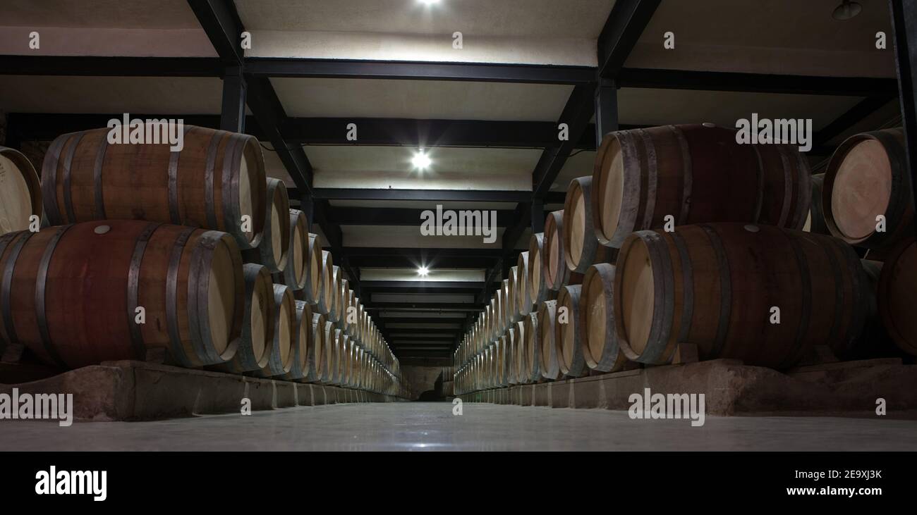 Franco-Españolas Bodega, Logrono, Rja Alta, Nordspanien Stockfoto