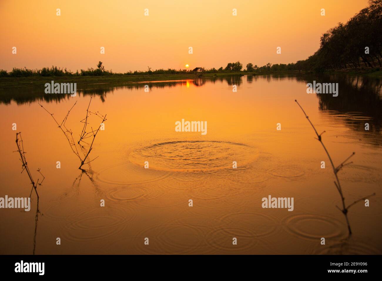 Sonnenuntergang auf der Batiaghata, Khulna, Bangladesch. Stockfoto