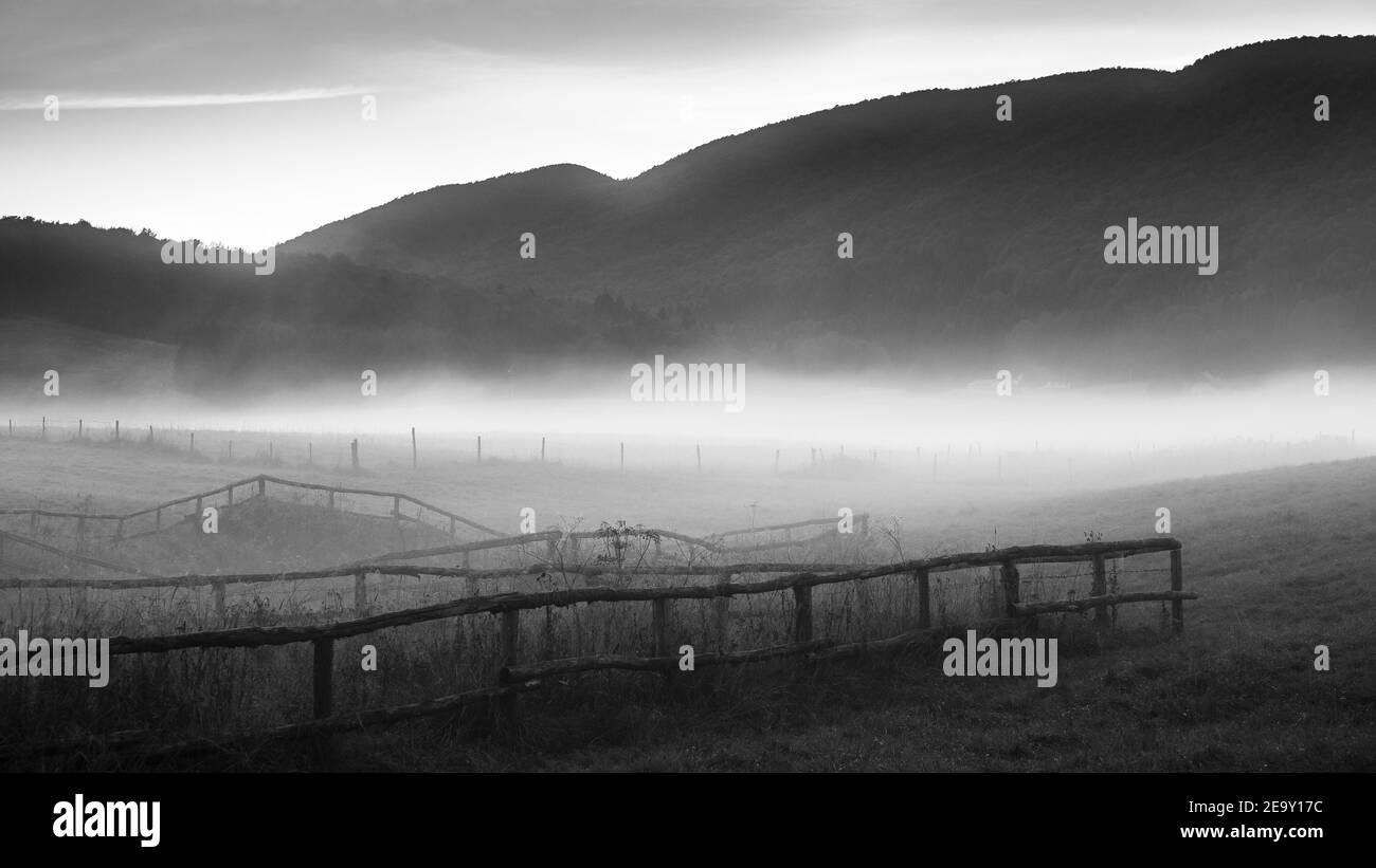 Sonnenlicht bei Sonnenaufgang und Nebel. Das Cansiglio-Hochplateau. Voralpen. Italien. Europa. Stockfoto