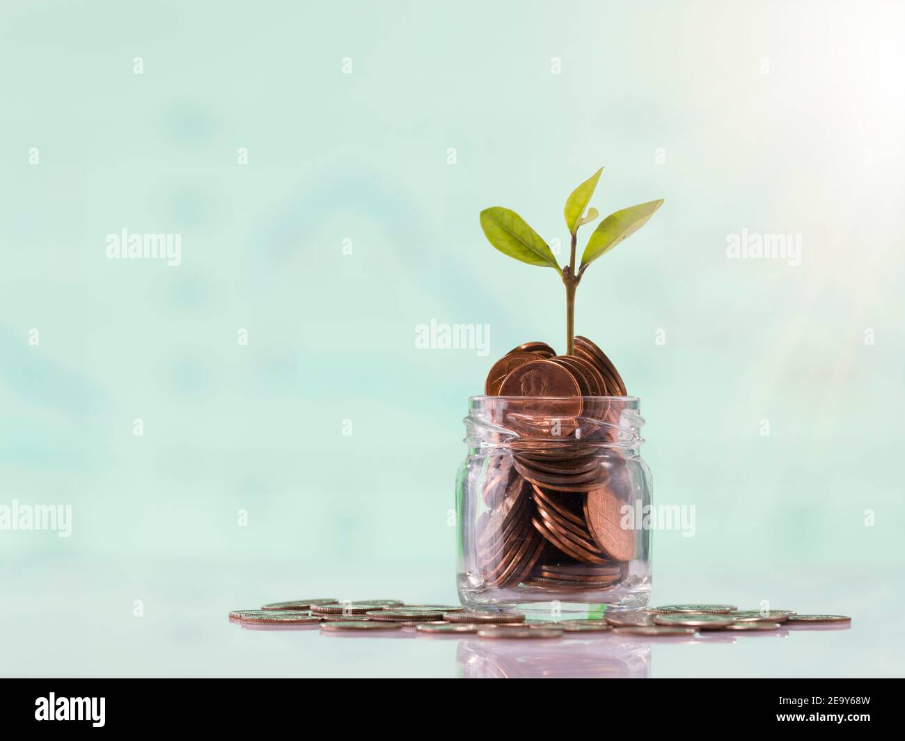 Gold United States Münzen und Samen in klare Flasche auf weißem Hintergrund, Business und Finance Konzept Stockfoto