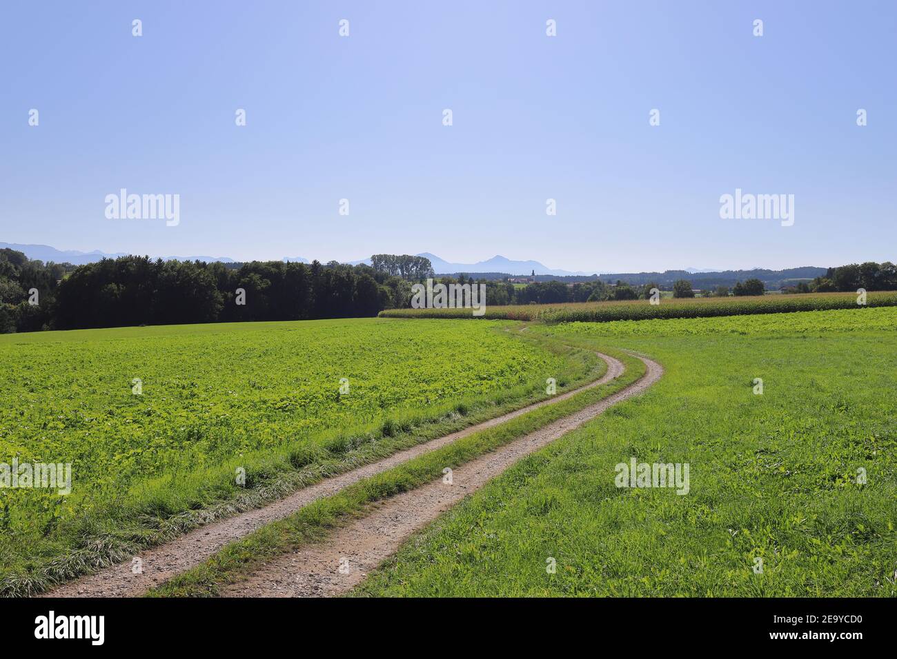 Feldweg zu den fernen Bergen Stockfoto