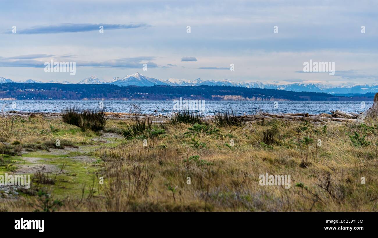 Ein Blick auf Gras und Berge von Port Townsend, Washington. Stockfoto