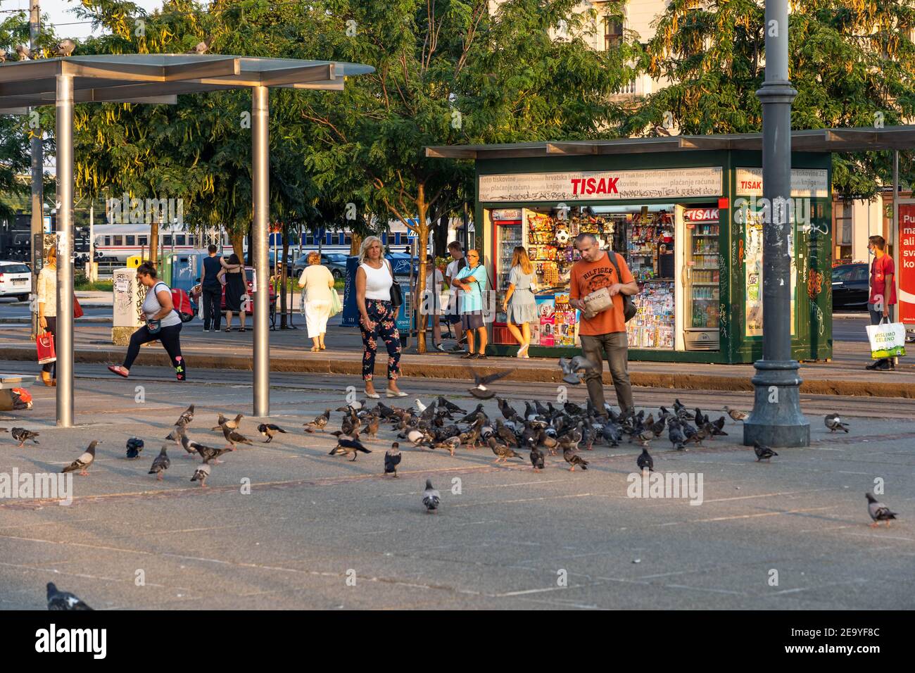 Zagreb, Kroatien - Aug 10, 2020: Fußgängerfütterung Pegionen am Glavni Kolodvor Stadtplatz während Sonnenuntergang Stunde Stockfoto
