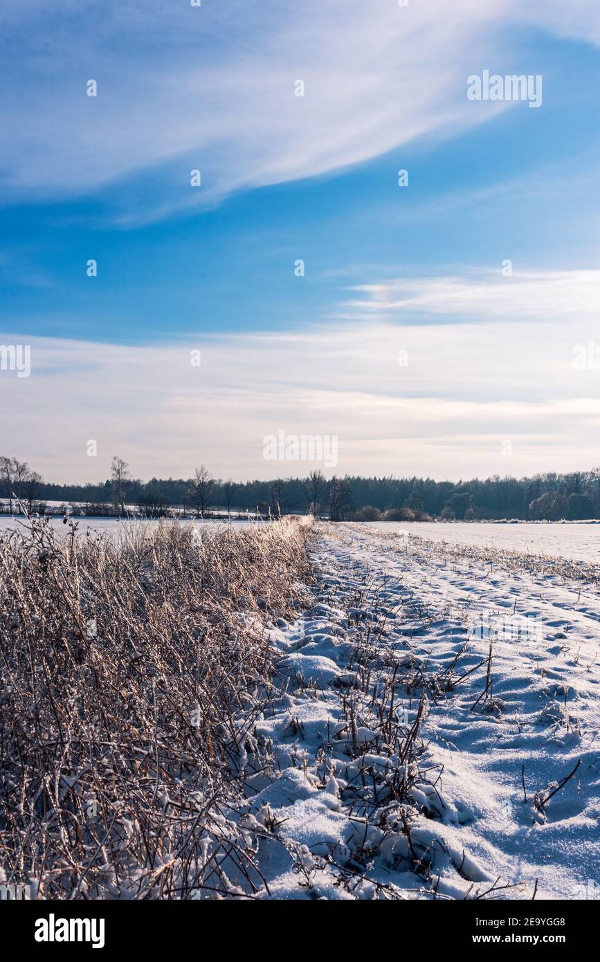 Schnee in einem Feld mit einem Gestrüpp bedeckten Graben Stockfoto